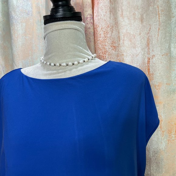 πAdrianna Papell Royal Blue Dress with Overlay Top - Picture 3 of 15